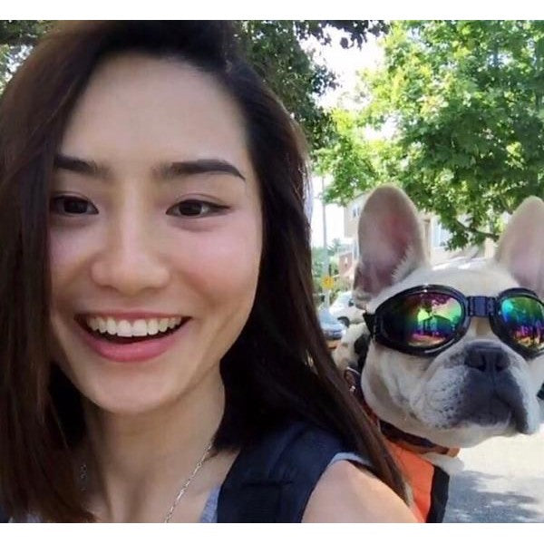 K9 Sport Shades - Dog Goggles