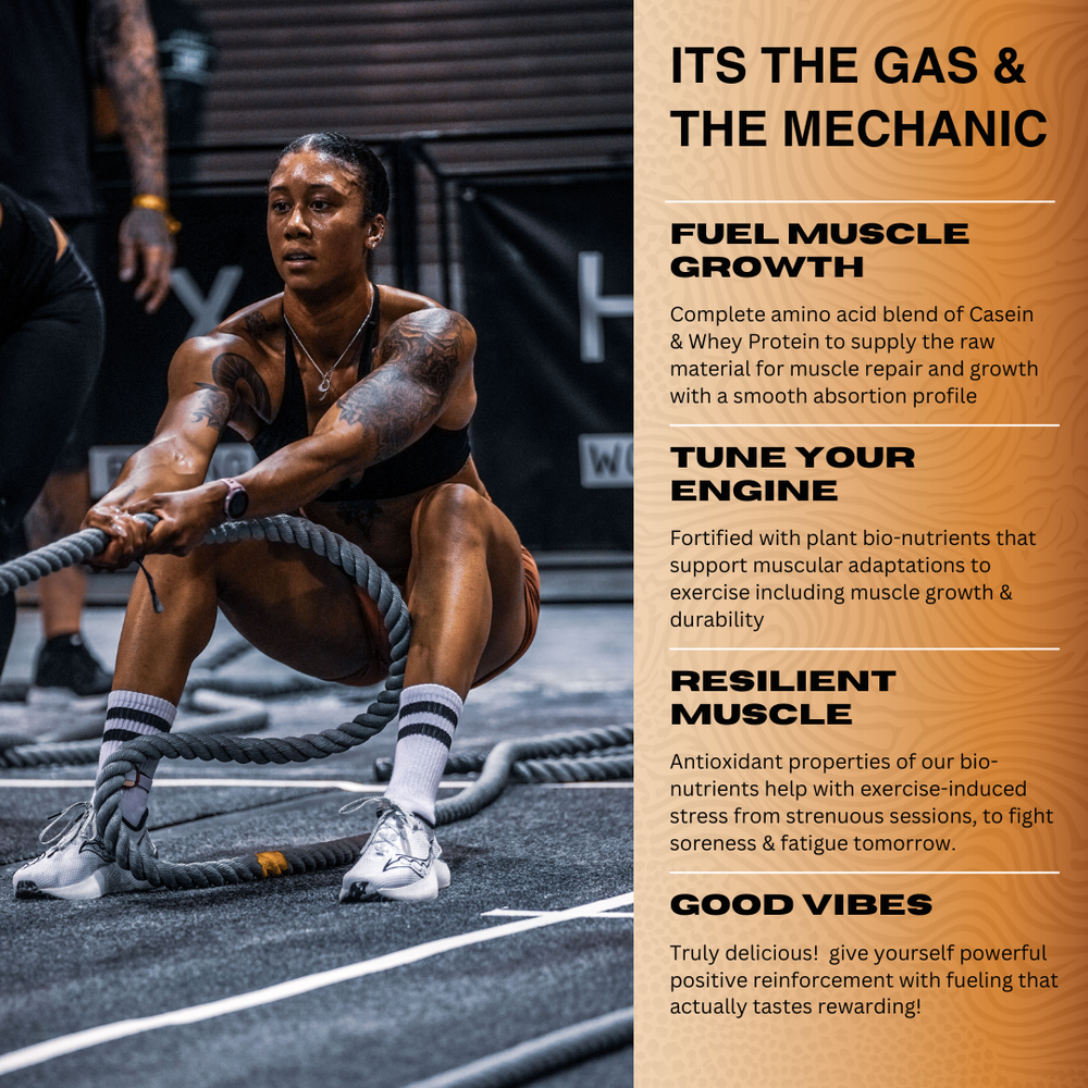 GAIN GROG PROTEIN MIX - Vanilla for Endurance Athletes