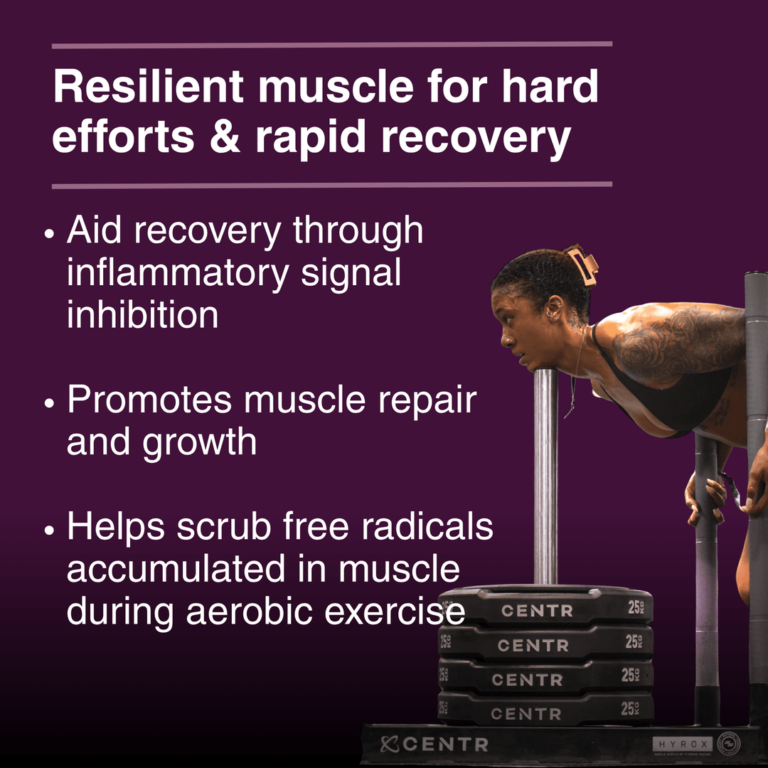 Grit Fuel Endurance Capsules for Peak Performance