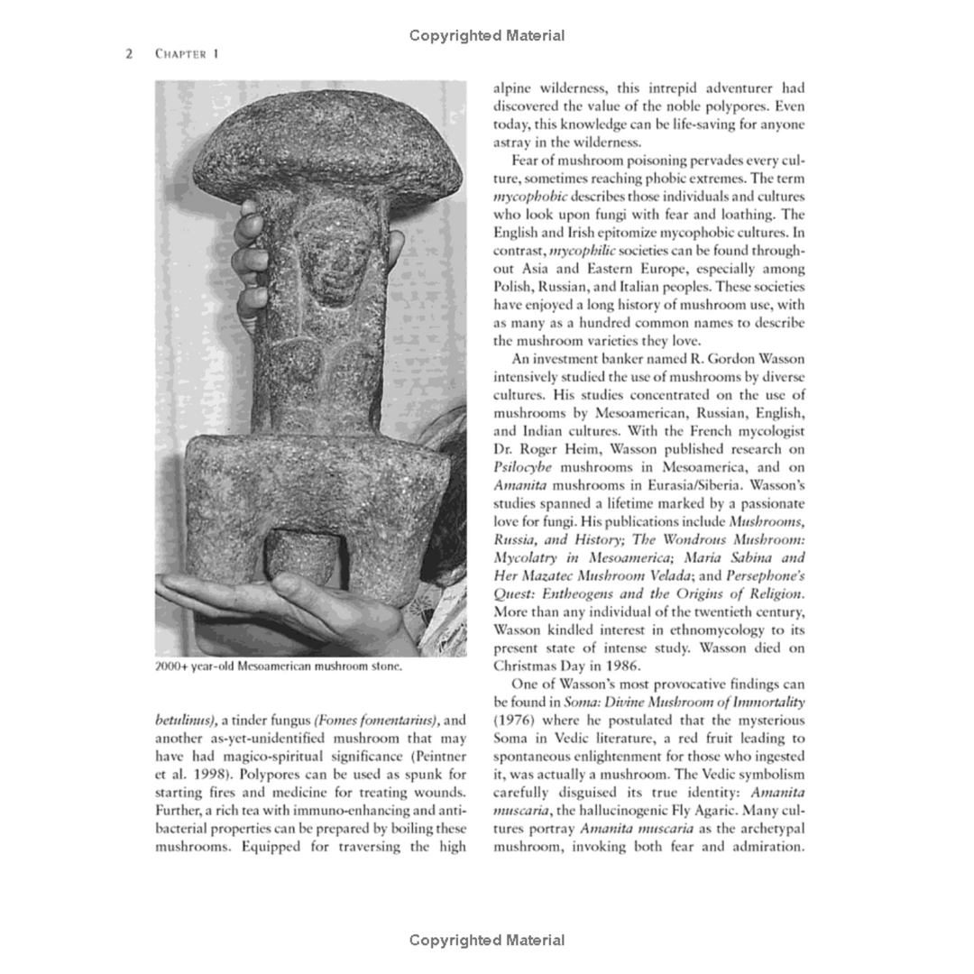 Growing Gourmet and Medicinal Mushrooms Spiral Bound