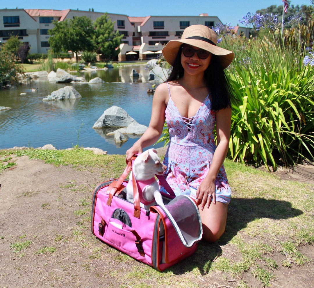 Mr. Peanut's Gold Series Standard Size Airline Compliant Pet Carrier