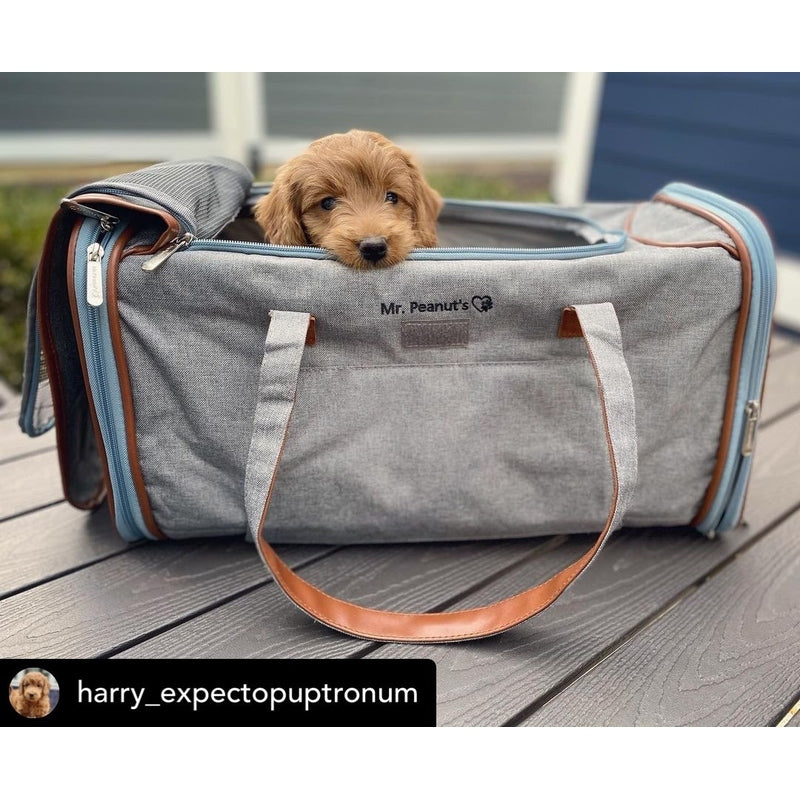 Mr. Peanut's Gold Series Big Apple XL Size Airline Compliant Expandable Pet Carrier