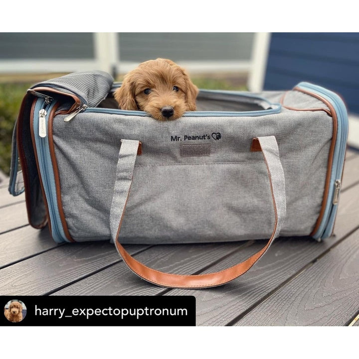 Mr. Peanut's Gold Series Big Apple XL Size Airline Compliant Expandable Pet Carrier