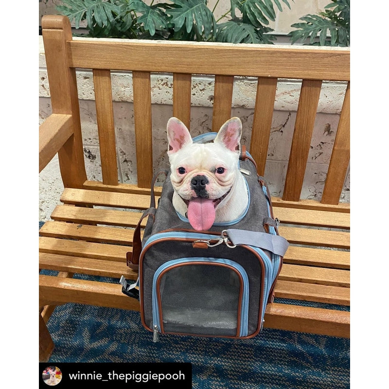 Mr. Peanut's Gold Series Big Apple XL Size Airline Compliant Double Expandable Pet Carrier