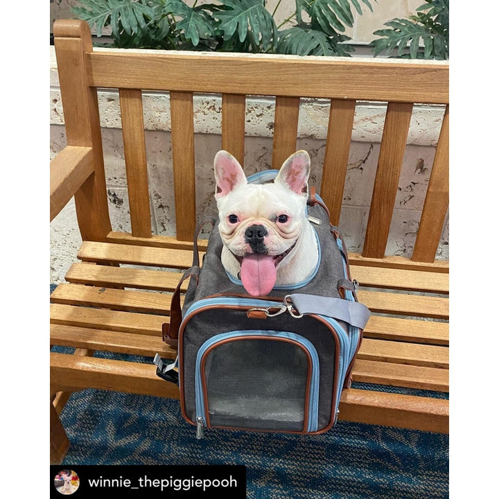 Mr. Peanut's Gold Series Big Apple XL Size Airline Compliant Expandable Pet Carrier