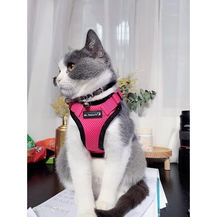 Mr. Peanut's PurrTrek Reflective Cat Harness with Matching Leash