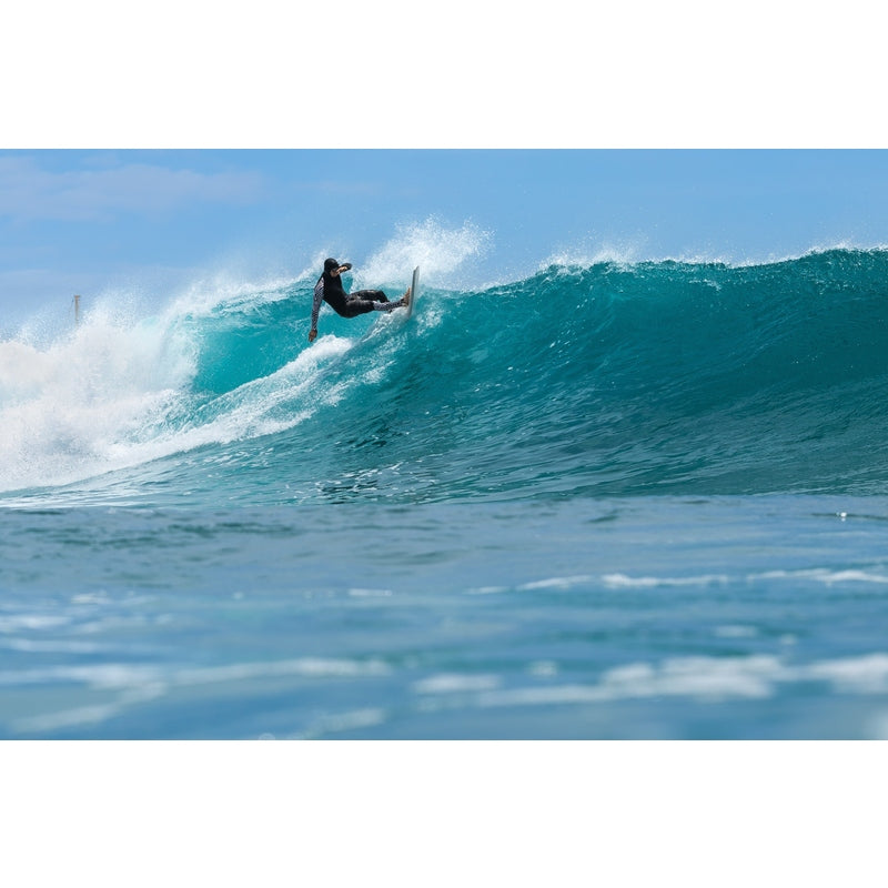 WAIHANA Black Carvico Lycra Leggings