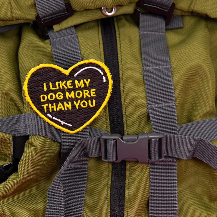 K9 Sport Sack I Like My Dog More Than You Heart Patch