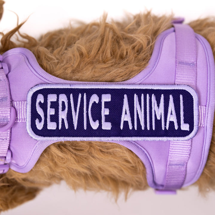 K9 Sport Sack Service Animal 2x6 Patch