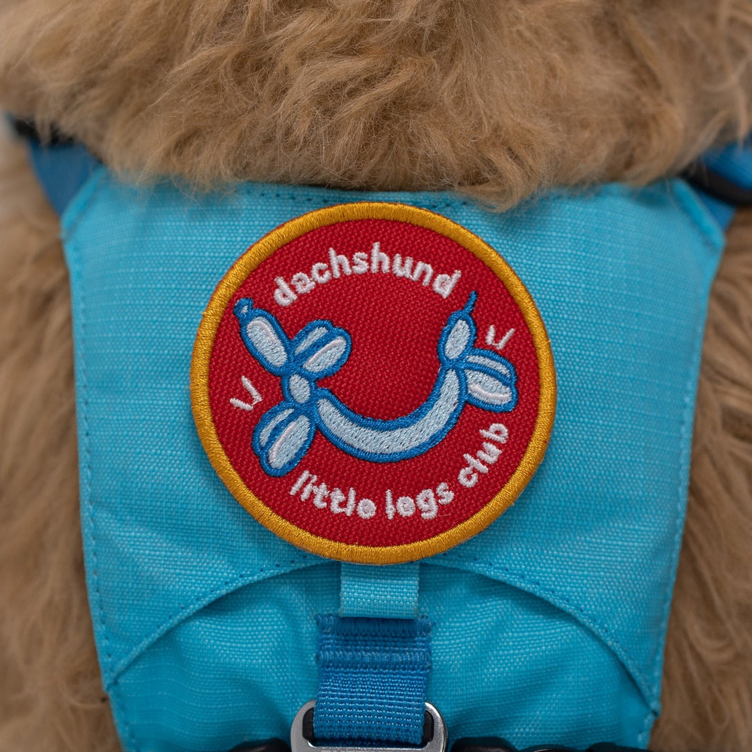 K9 Sport Sack Dachshund Little Legs Club Patch