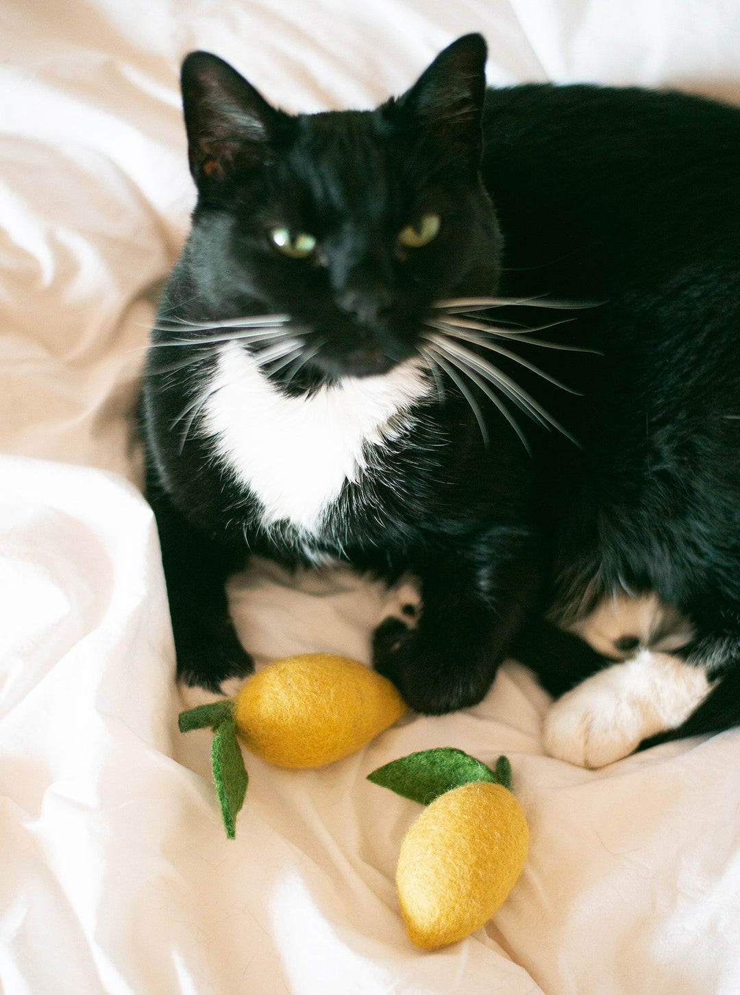 Wool Dog and Cat Toy - Lemon Shape Set of 2