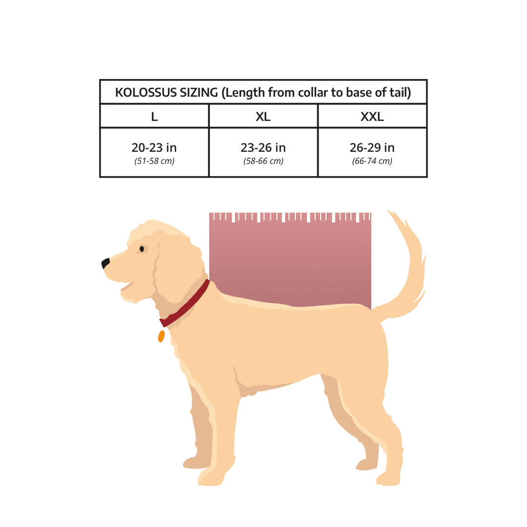 K9 Sport Sack Kolossus | Big Dog Carrier & Backpacking Pack