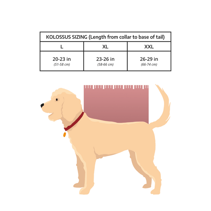 K9 Sport Sack Kolossus | Big Dog Carrier & Backpacking Pack