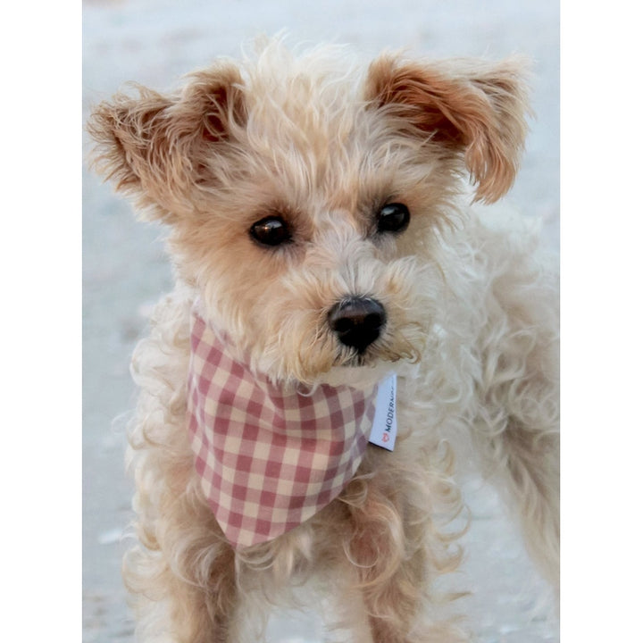 GINGHAM BANDANA