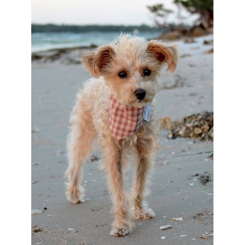 GINGHAM BANDANA