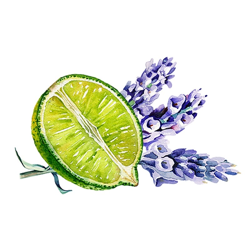 Rustic Strength Lavender & Lime Essential Oil Blend