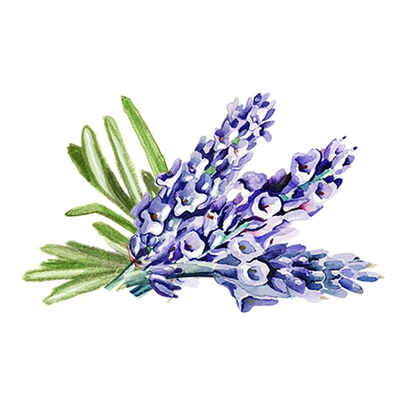 Rustic Strength Lavender & Rosemary Essential Oil Blend