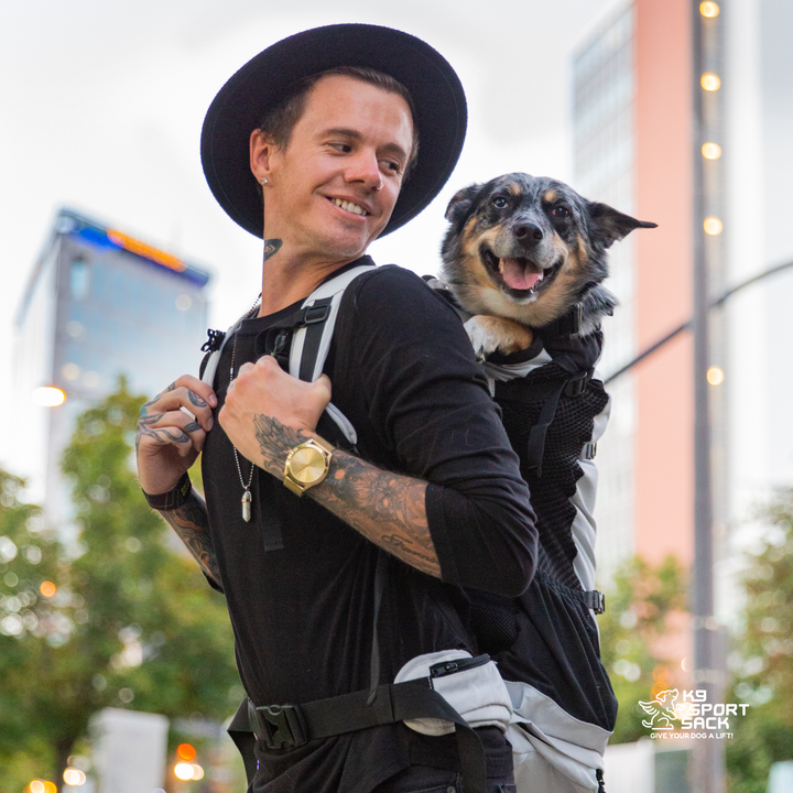 K9 Sport Sack Knavigate | Advanced Dog Carrier with Internal Frame & Hip Belt