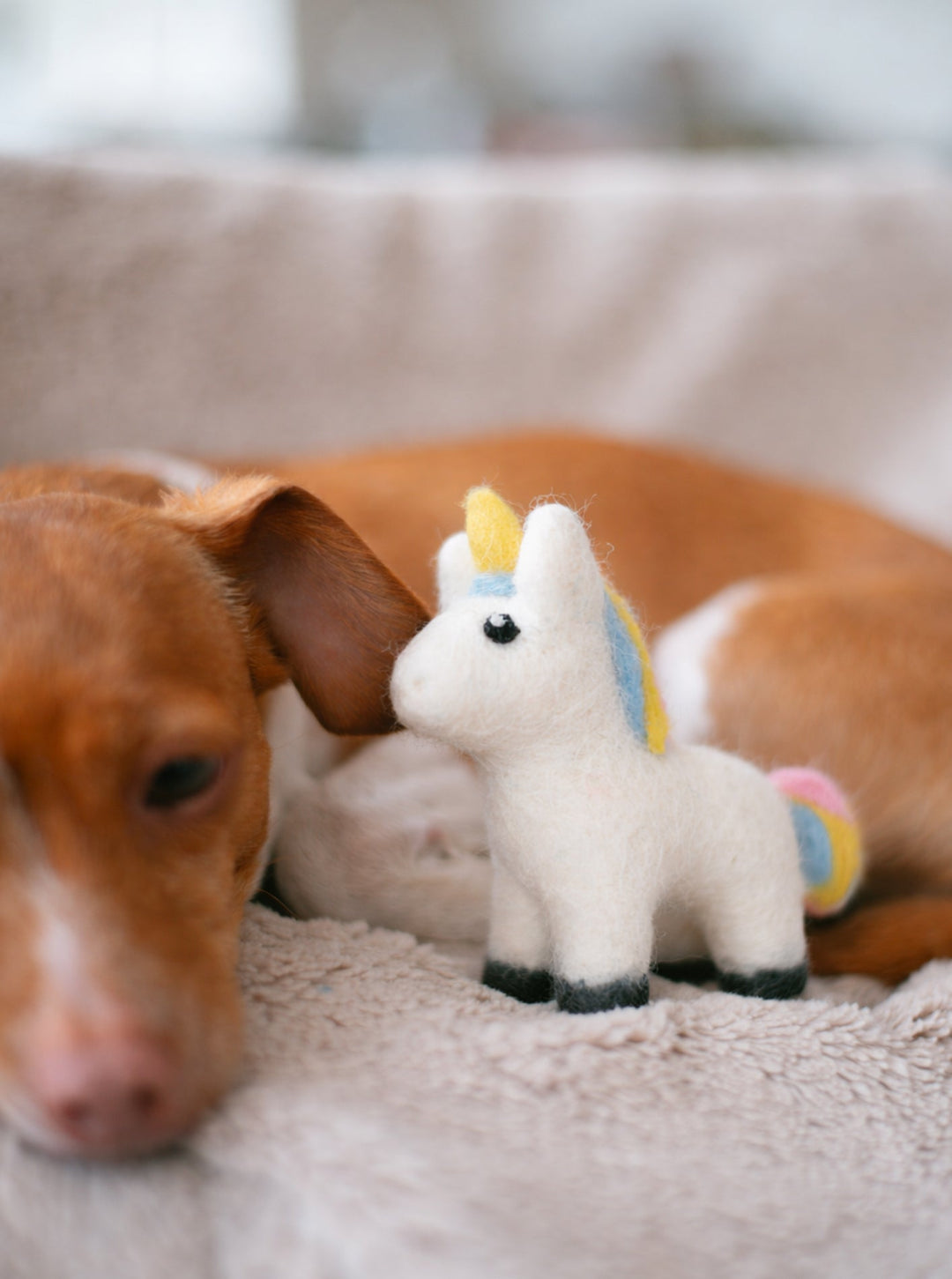 Handcrafted Wool Dog Toys - MAGICAL UNICORN