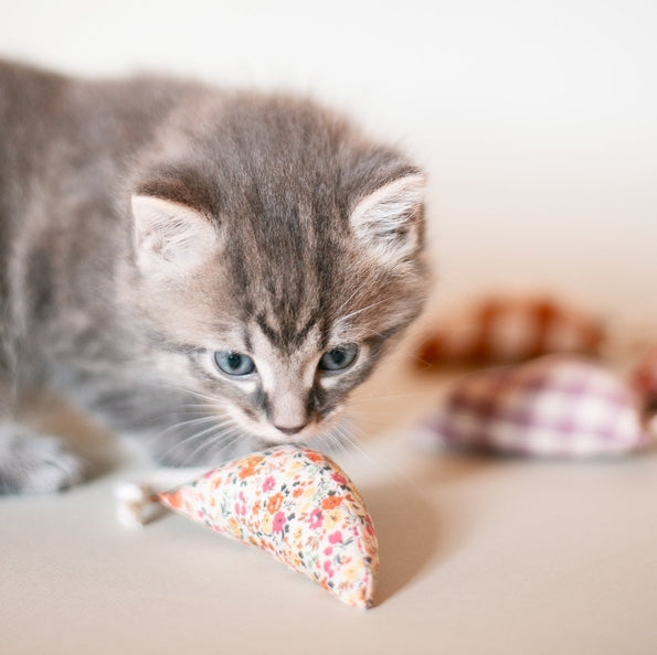 MODERN MOUSE - FLORAL