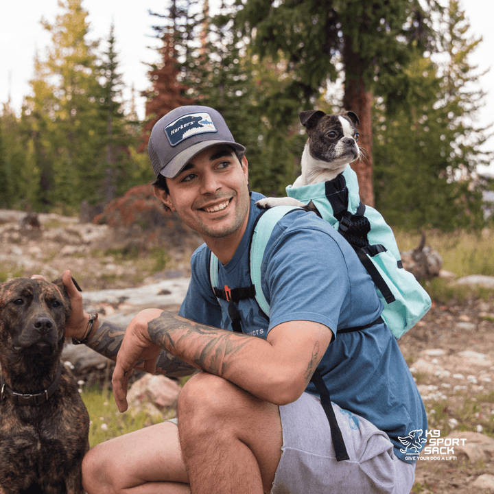 K9 Sport Sack Air 2 | The Original Backpack Dog Carrier