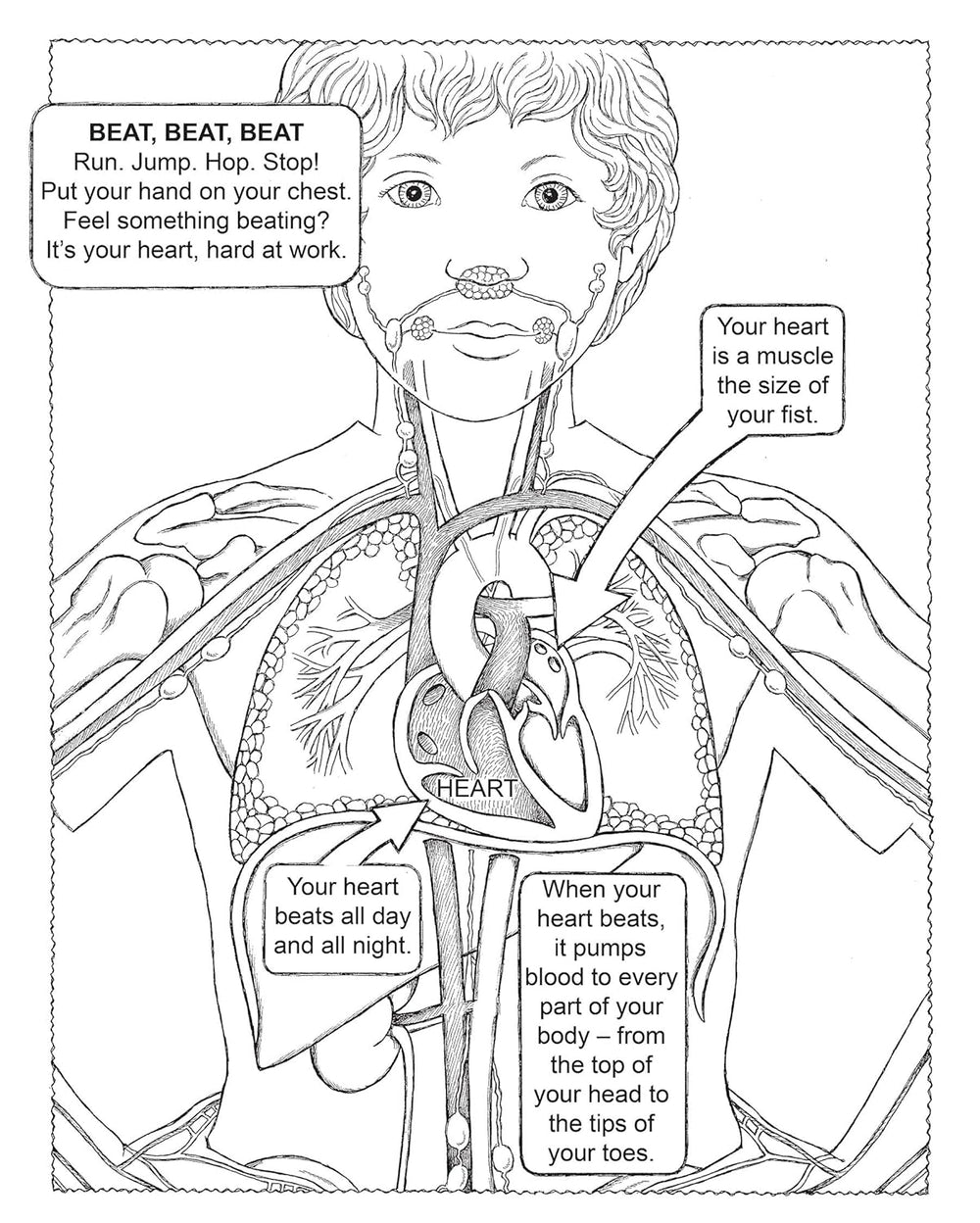 My First Human Body Book Spiral Bound