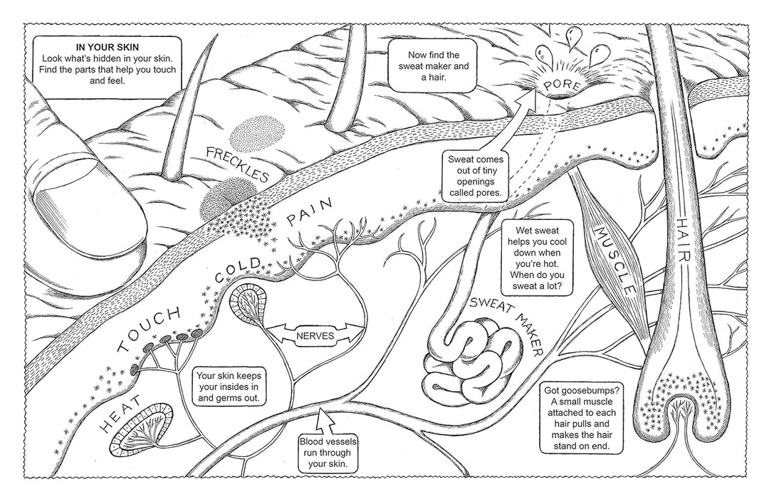 My First Human Body Book Spiral Bound