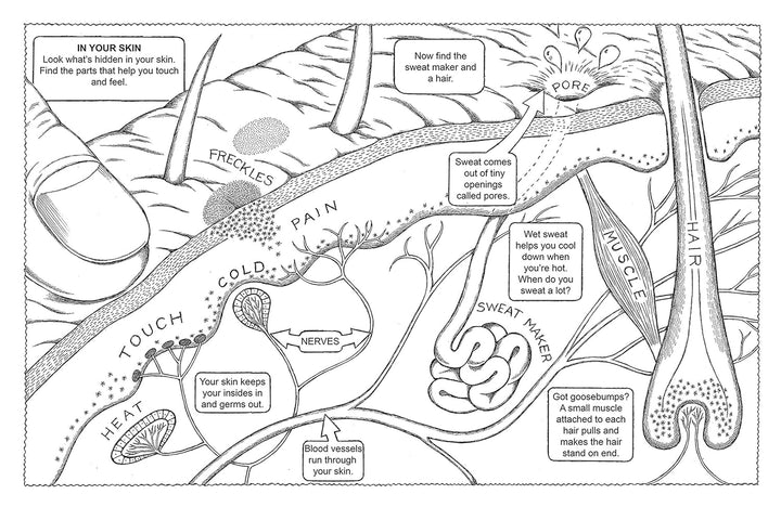 My First Human Body Book Spiral Bound