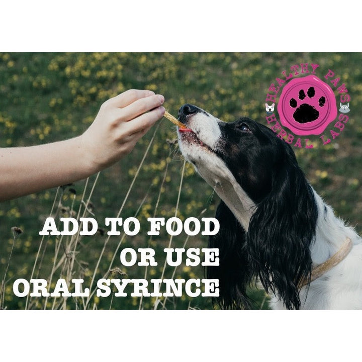 Ouchie - Pain Relief & Joint Support for Pets