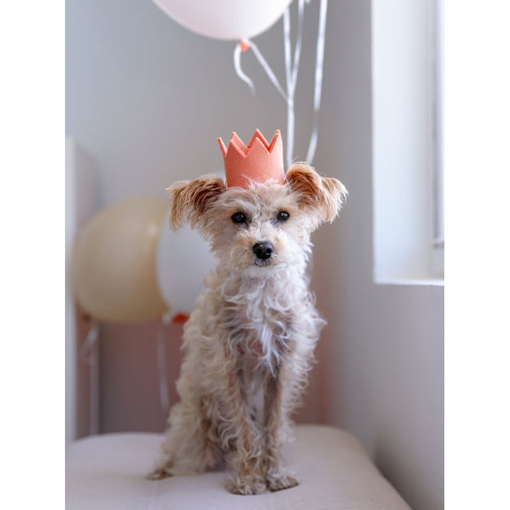 NEUTRAL PARTY CROWNS