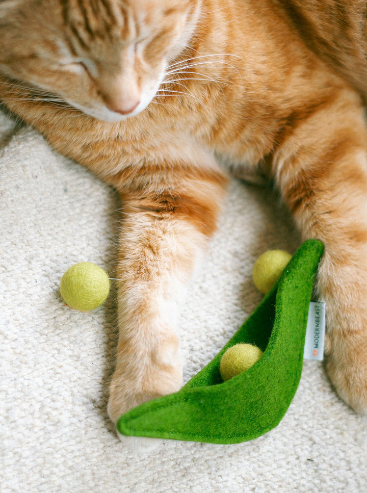 PEA POD WOOL CAT TOY
