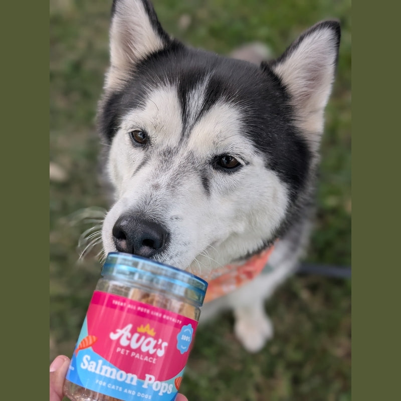 Freeze Dried Salmon Treats - Salmon Pops