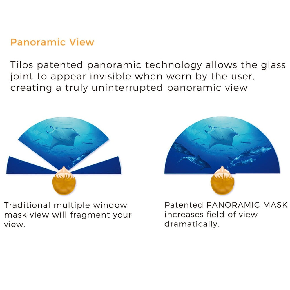 Double Lens Panoramic Mask for Underwater Vision