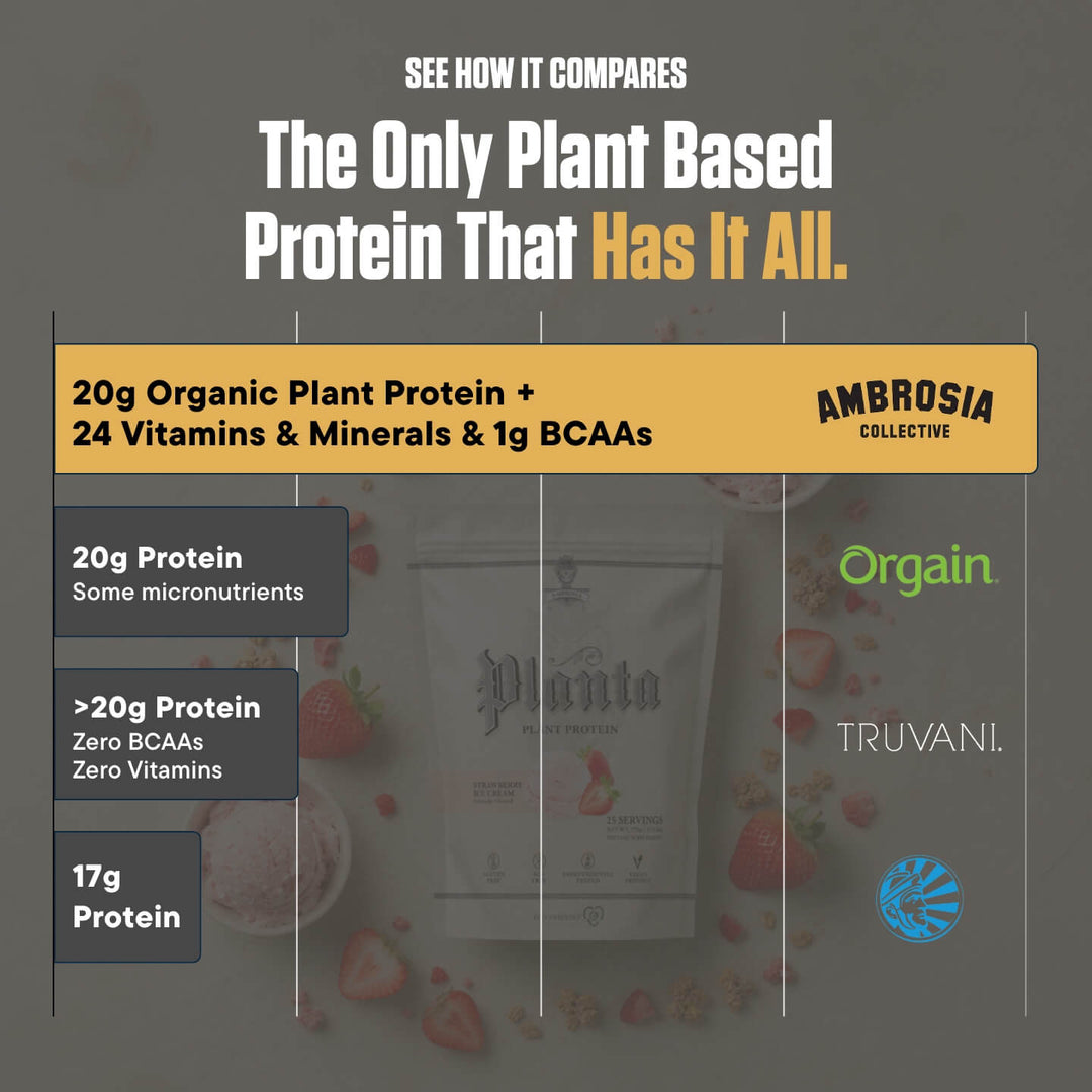 Planta® - Premium Plant Protein Supplement