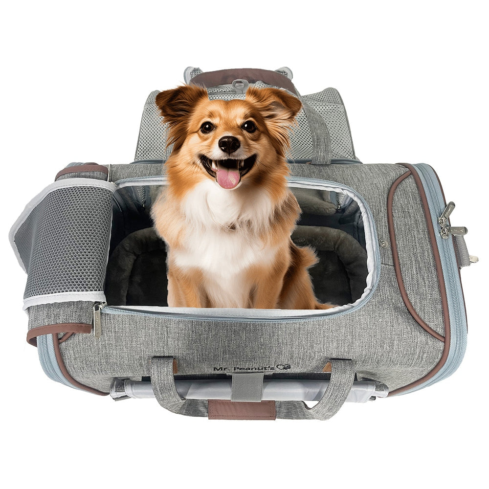 Mr. Peanut's Gold Series Big Apple XL Size Airline Compliant Expandable Pet Carrier