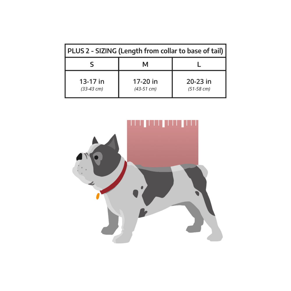 K9 Sport Sack Plus 2 | Dog Carrier with Removable Storage