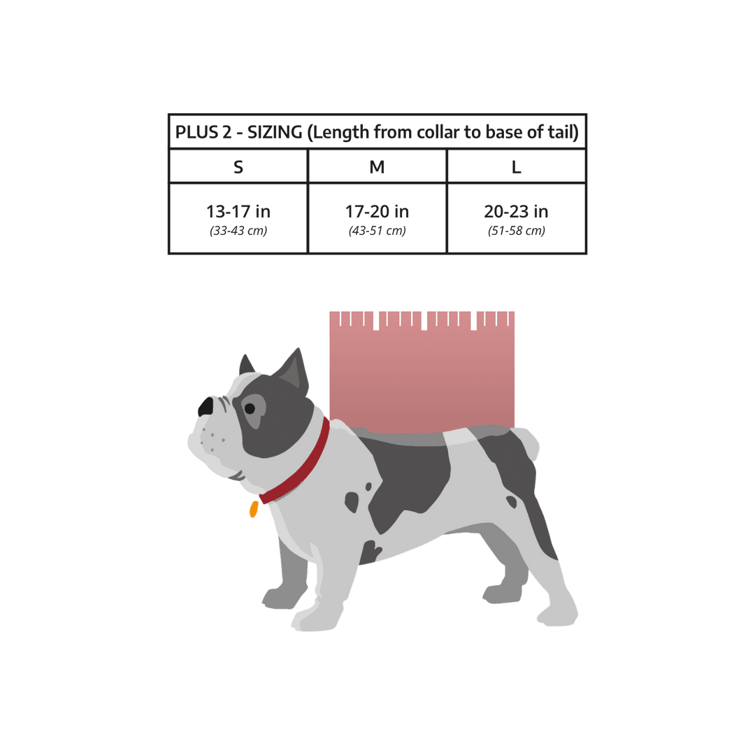 K9 Sport Sack Plus 2 | Dog Carrier with Removable Storage