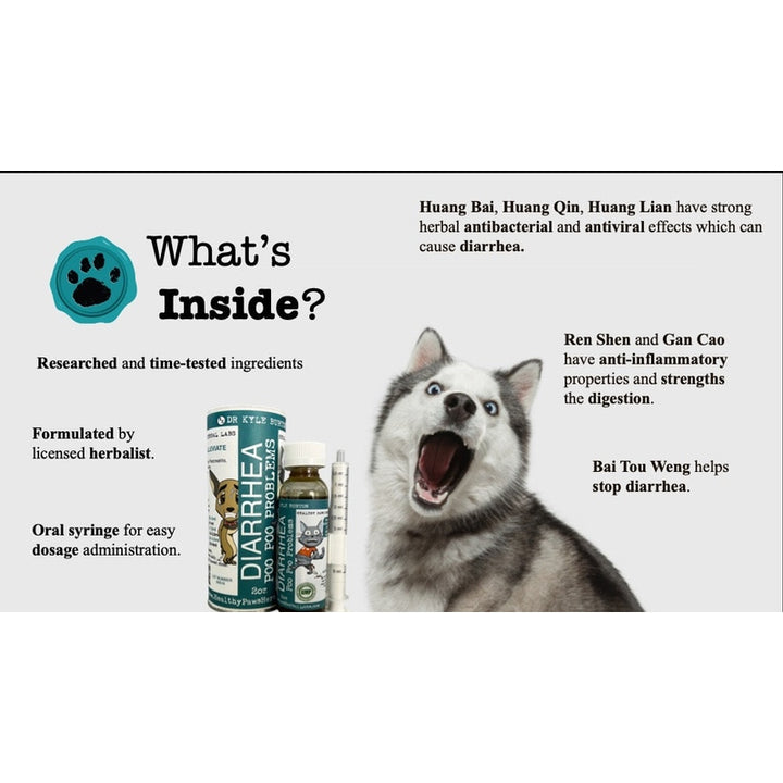Poo Poo Problems - Pet Diarrhea & Digestive Support