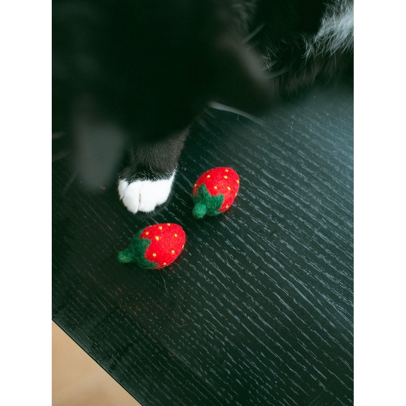 KITTY STRAWBERRIES