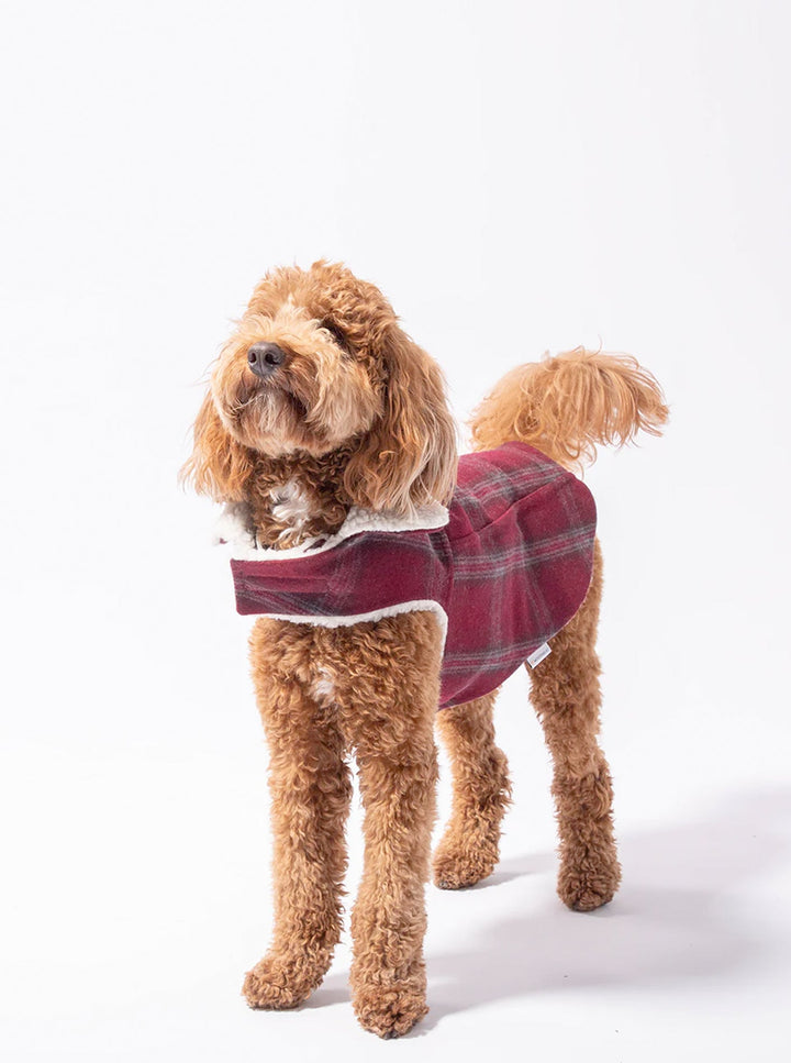 Stylish Corduroy Dog Coat for Fall Comfort