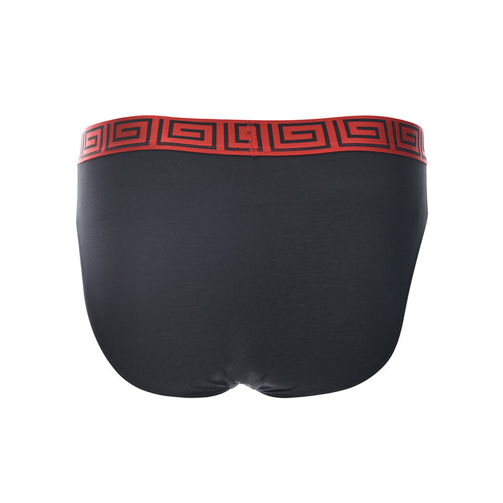 SHEATH Men's Dual Pouch Euro Briefs