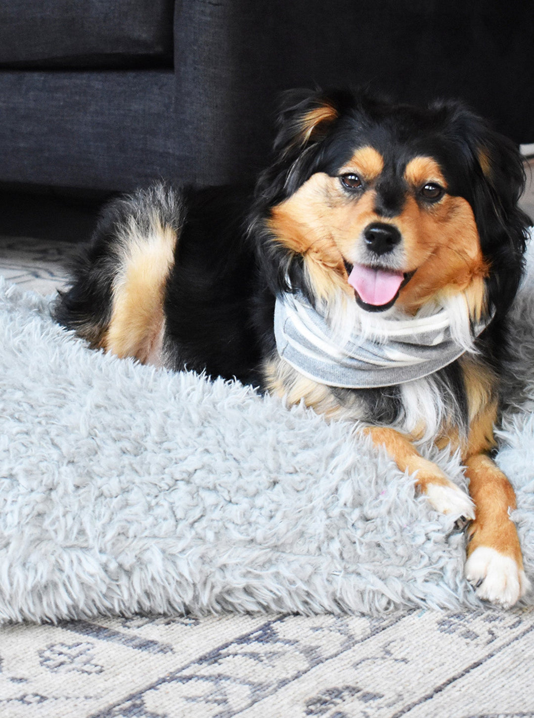 MB SNOOD - Dog Snood for Cold Weather Comfort