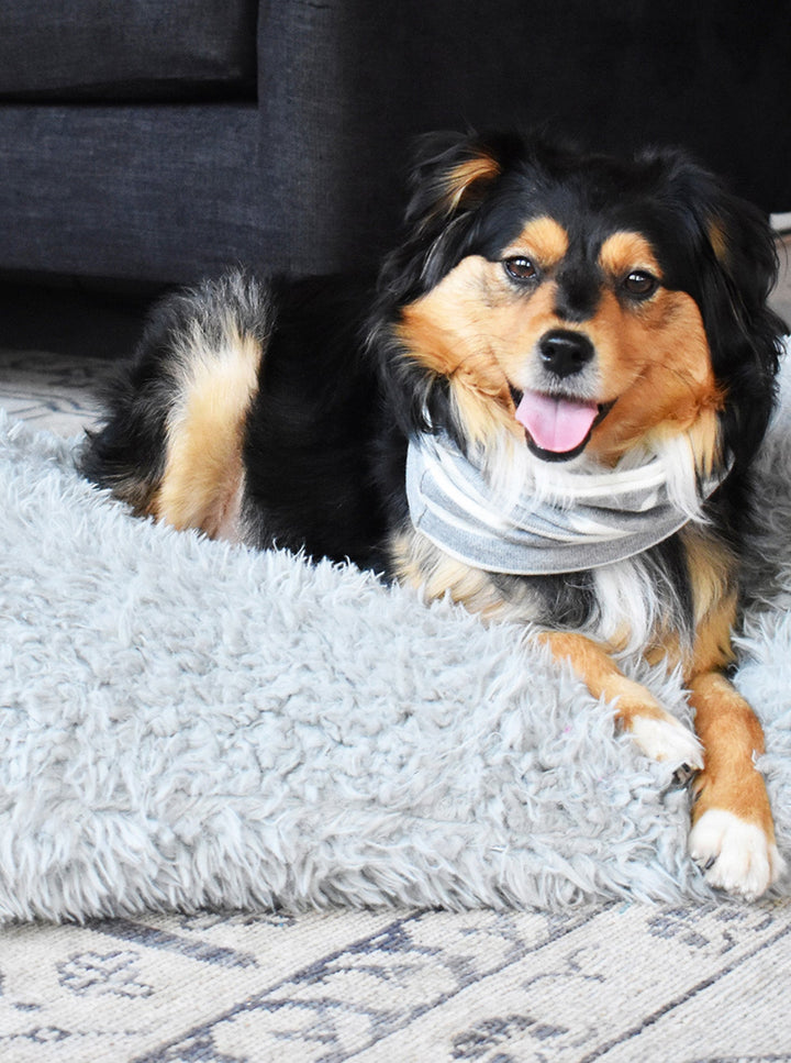 MB SNOOD - Dog Snood for Cold Weather Comfort