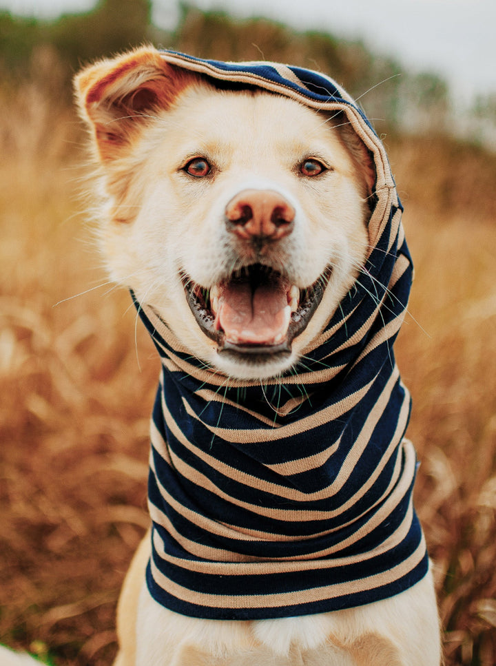 MB SNOOD - Dog Snood for Cold Weather Comfort
