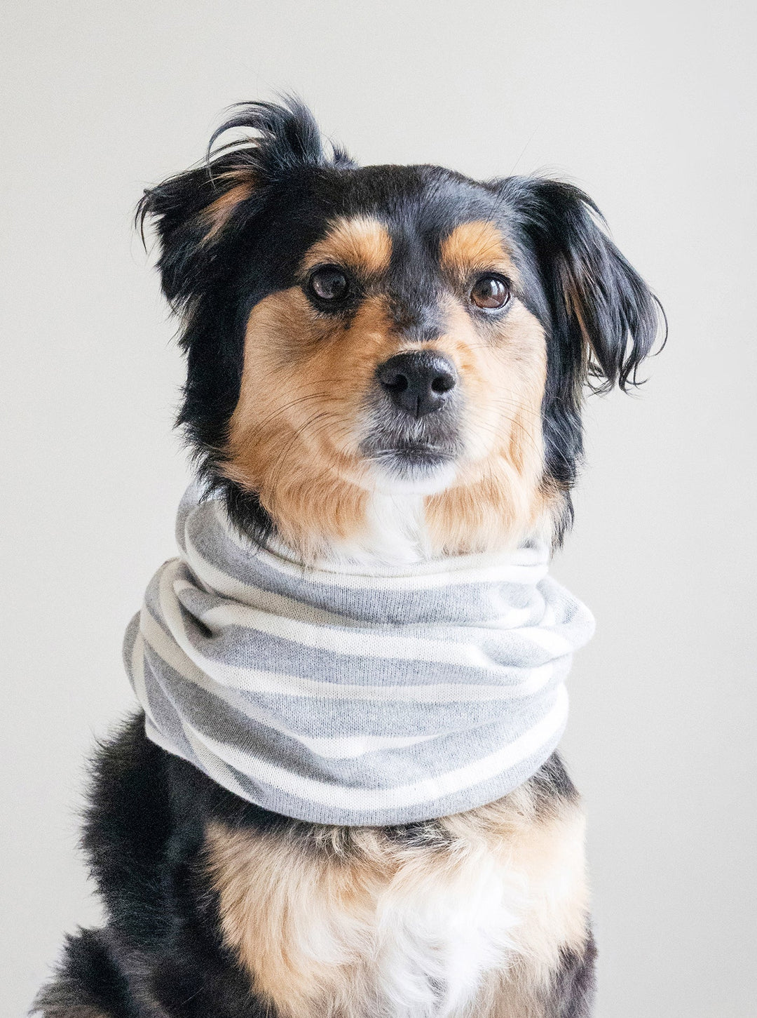 MB SNOOD - Dog Snood for Cold Weather Comfort
