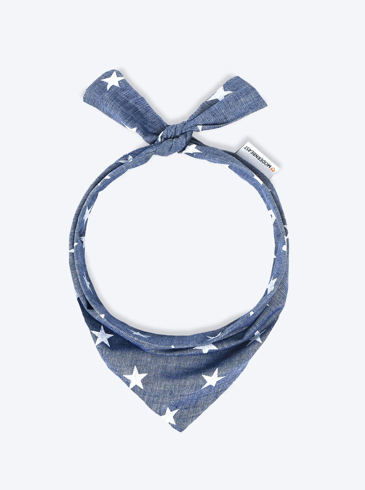 Dog Adventure Bandanas for Every Journey