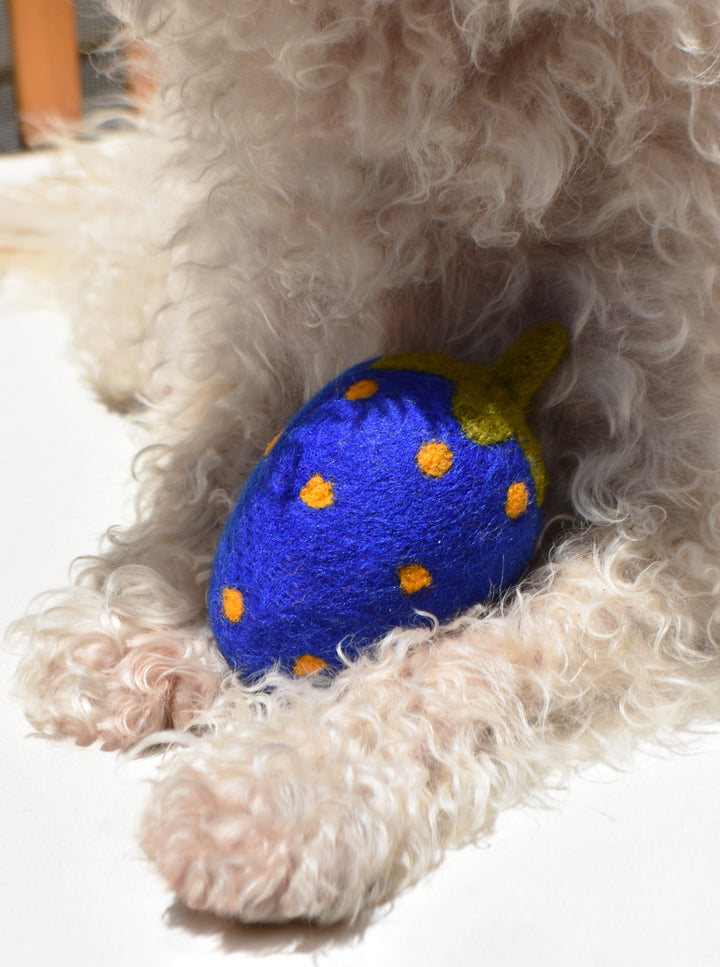 Unique Blue Strawberry Wool Dog Toy for Playtime Fun