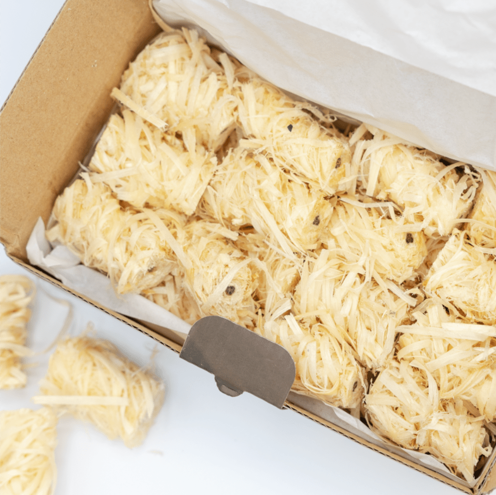 Waterproof Fire Starters for Instant Ignition