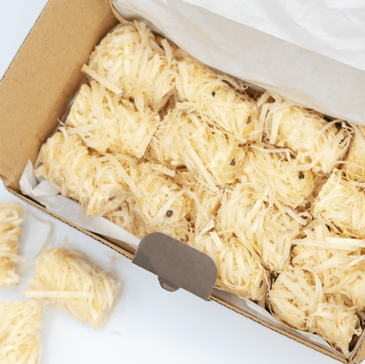 Waterproof Fire Starters for Instant Ignition