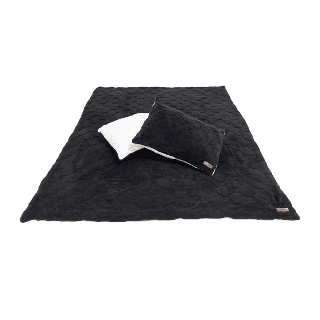 Freespirit Recreation Cloud Comforter & Pillow Case Set